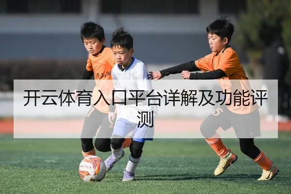 开云体育入口平台详解及功能评测