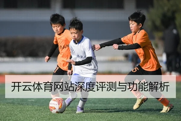 开云体育网站深度评测与功能解析